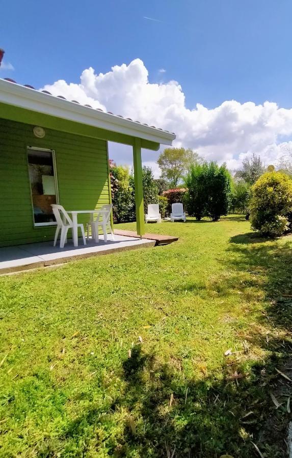 Gite Avec Piscine Et Espace Bien-Etre Partages Entre Bordeaux Et Lacanau Ocean (Adults Only) Brach 외부 사진